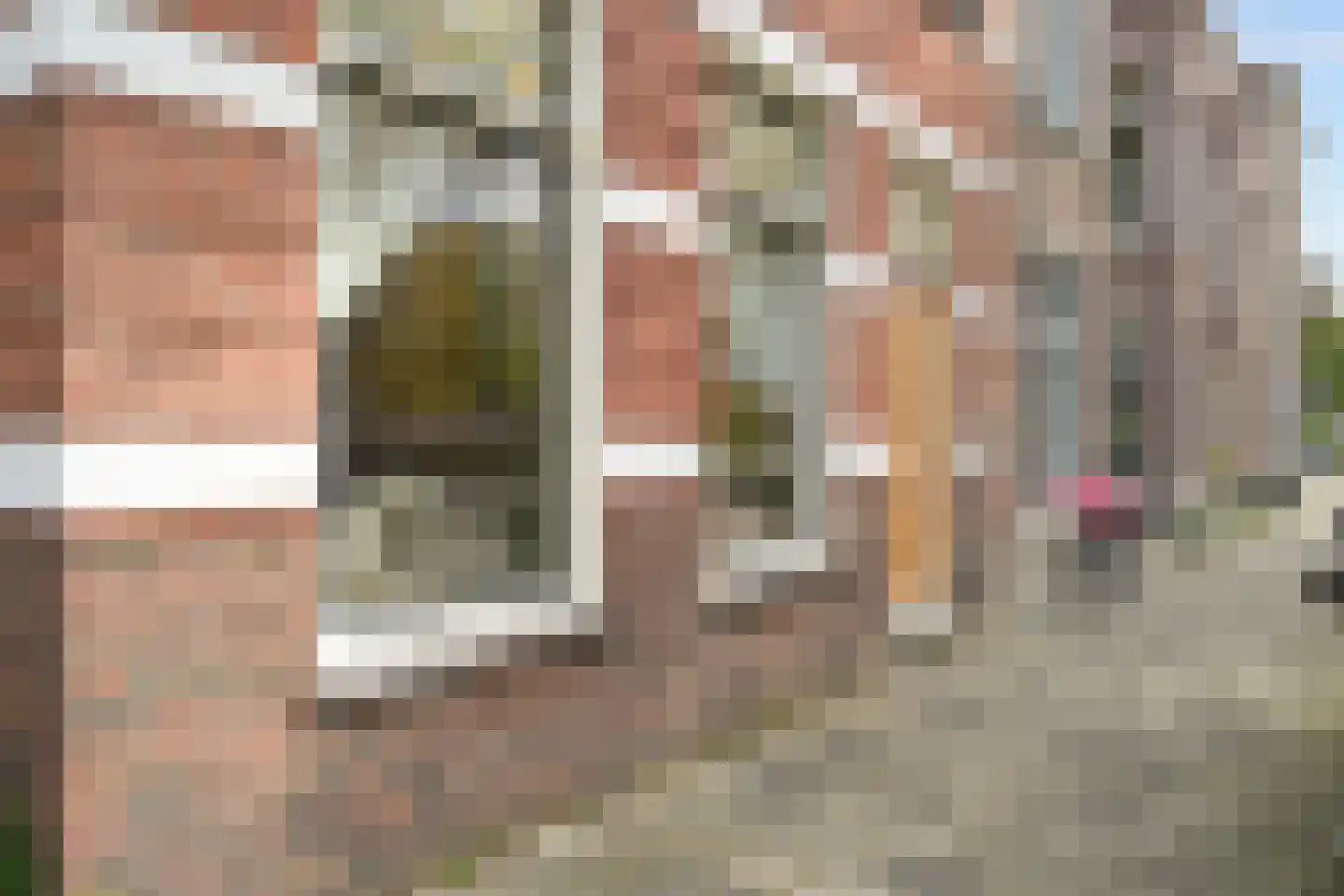 Thomsonlaan 35 Den Haag thumbnail 31