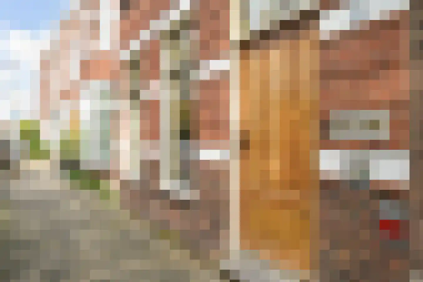 Thomsonlaan 35 Den Haag thumbnail 32