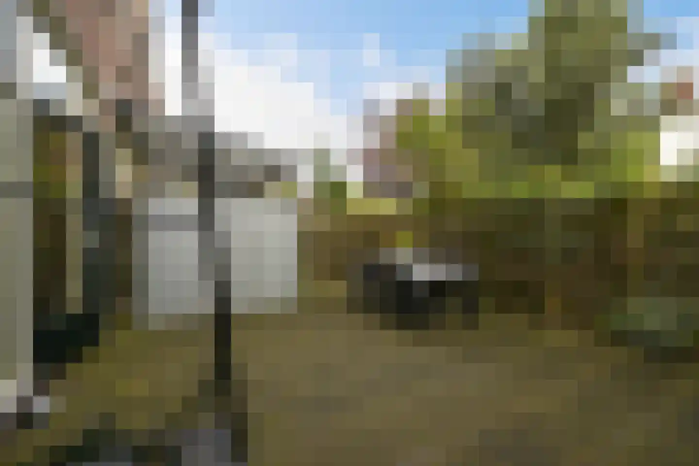 Thomsonlaan 35 Den Haag thumbnail 45