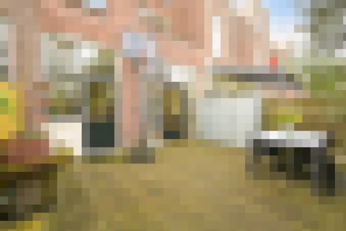 Thomsonlaan 35 Den Haag thumbnail 47
