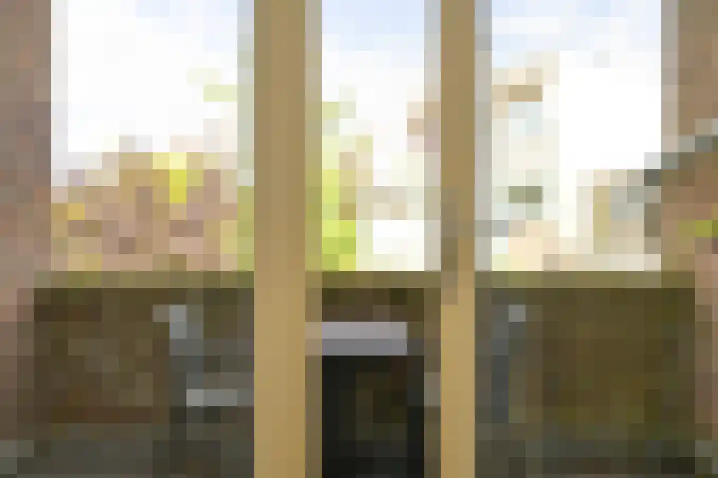 Thomsonlaan 35 Den Haag thumbnail 54