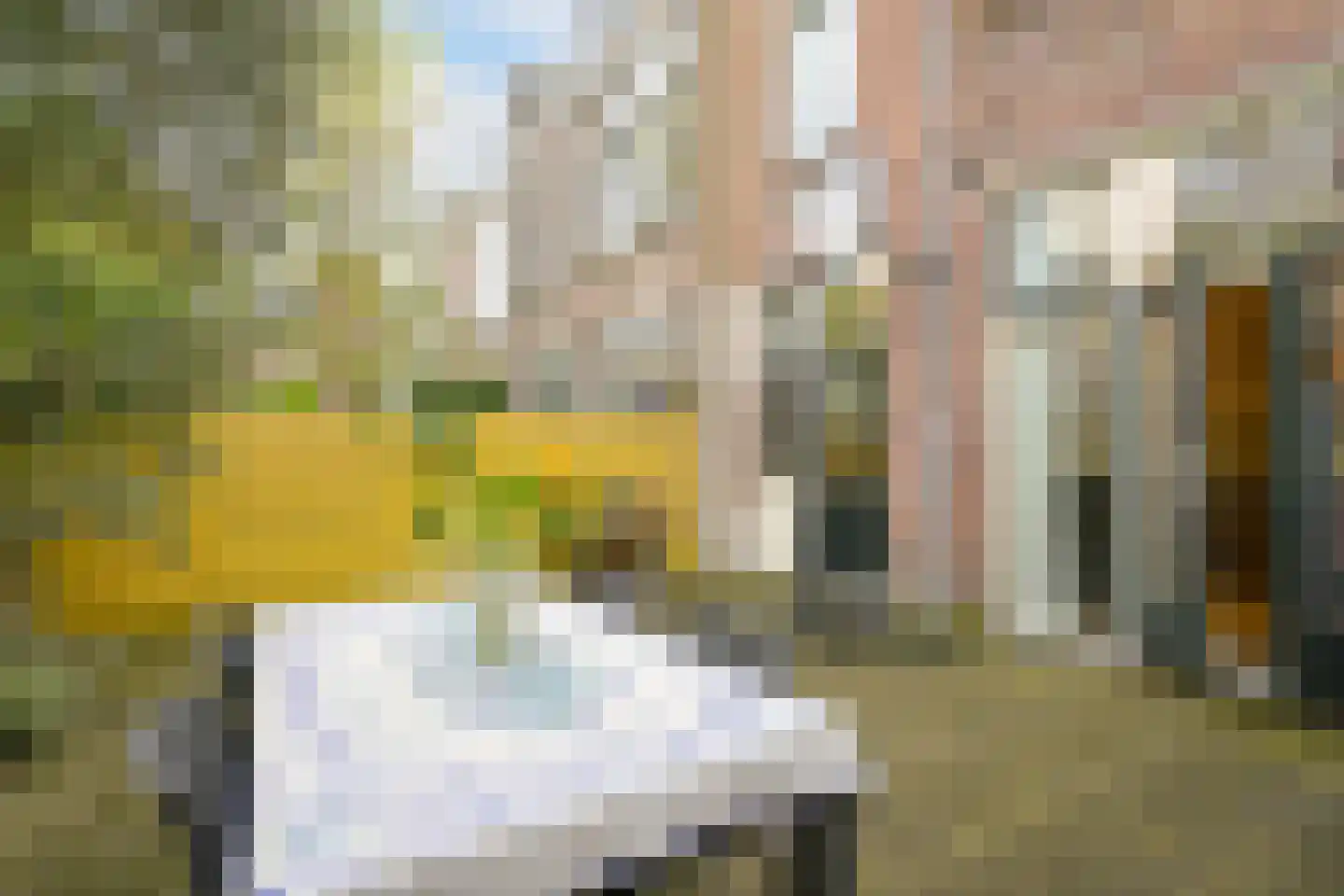 Thomsonlaan 35 Den Haag thumbnail 8