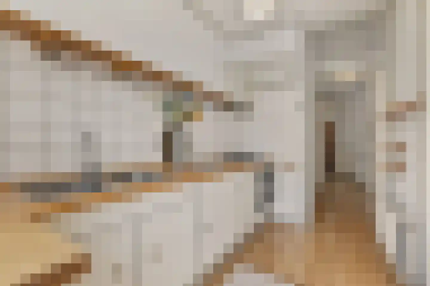Thomsonlaan 44 Den Haag thumbnail 13
