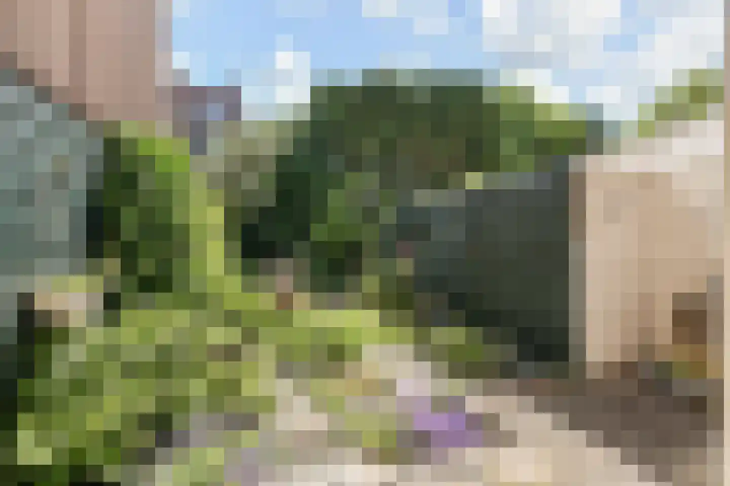 Thomsonlaan 44 Den Haag thumbnail 16