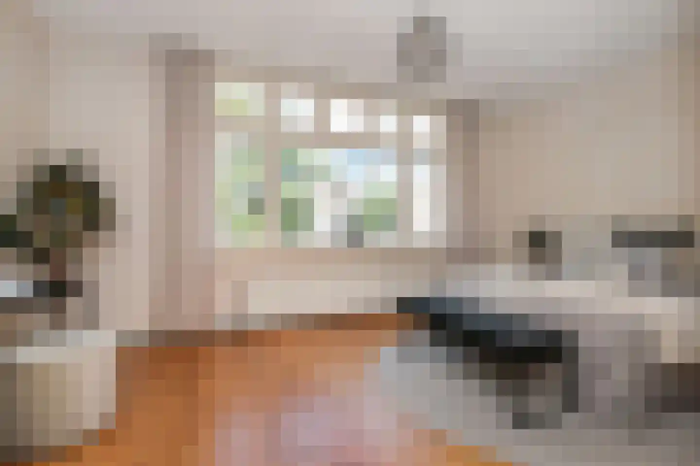 Thomsonlaan 44 Den Haag thumbnail 21