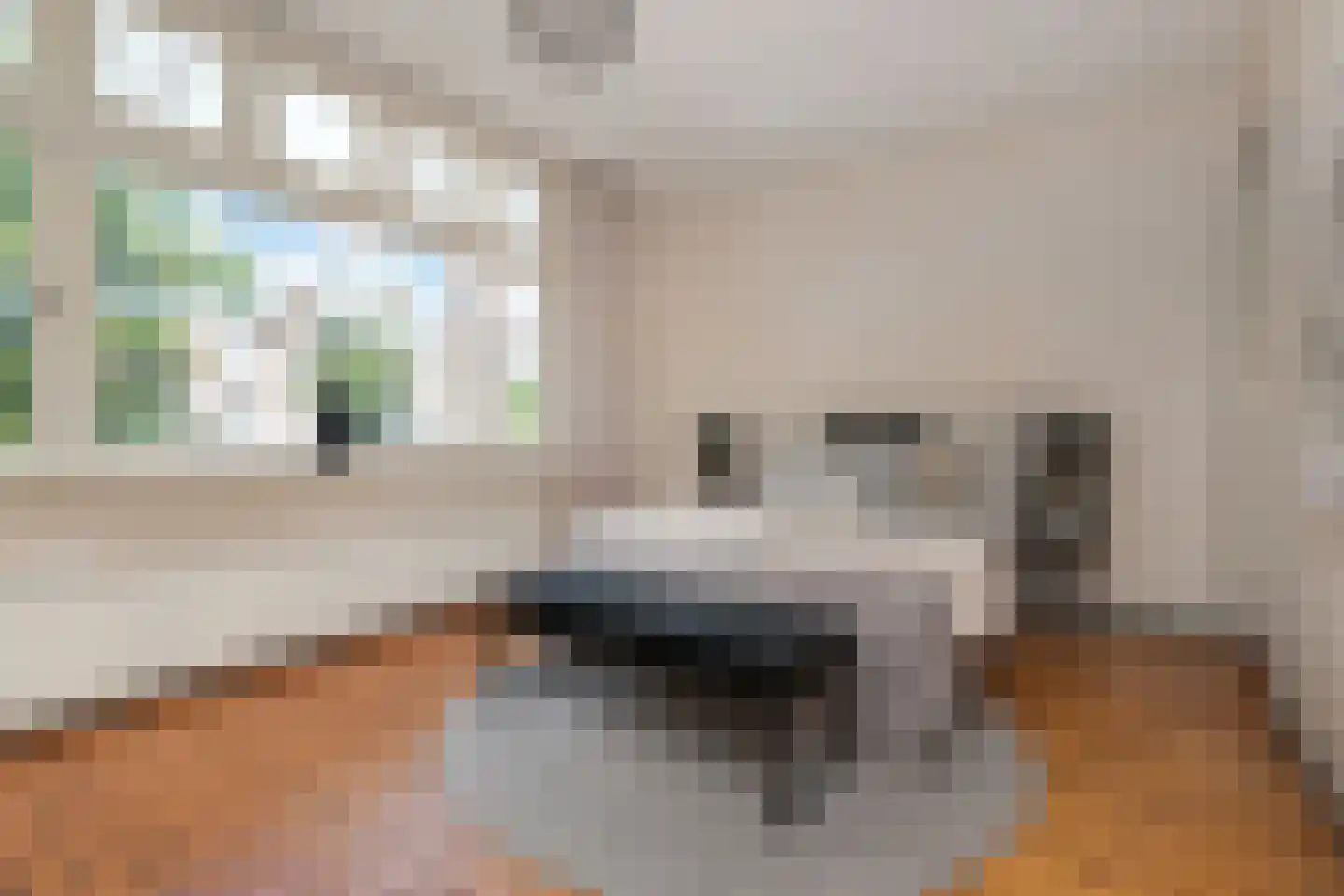 Thomsonlaan 44 Den Haag thumbnail 22