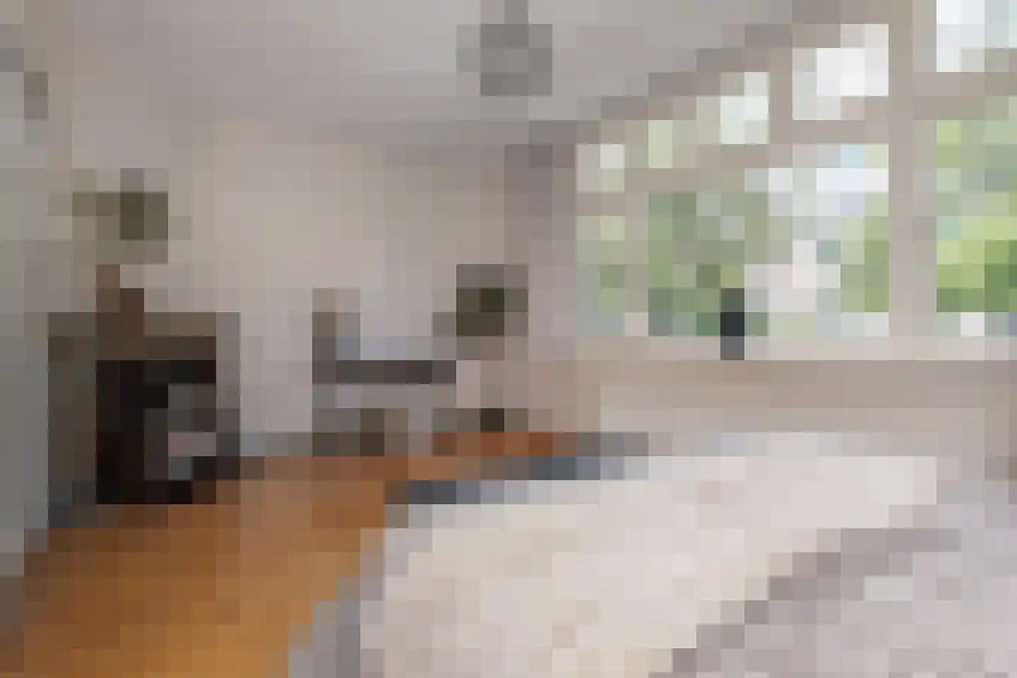 Thomsonlaan 44 Den Haag thumbnail 24