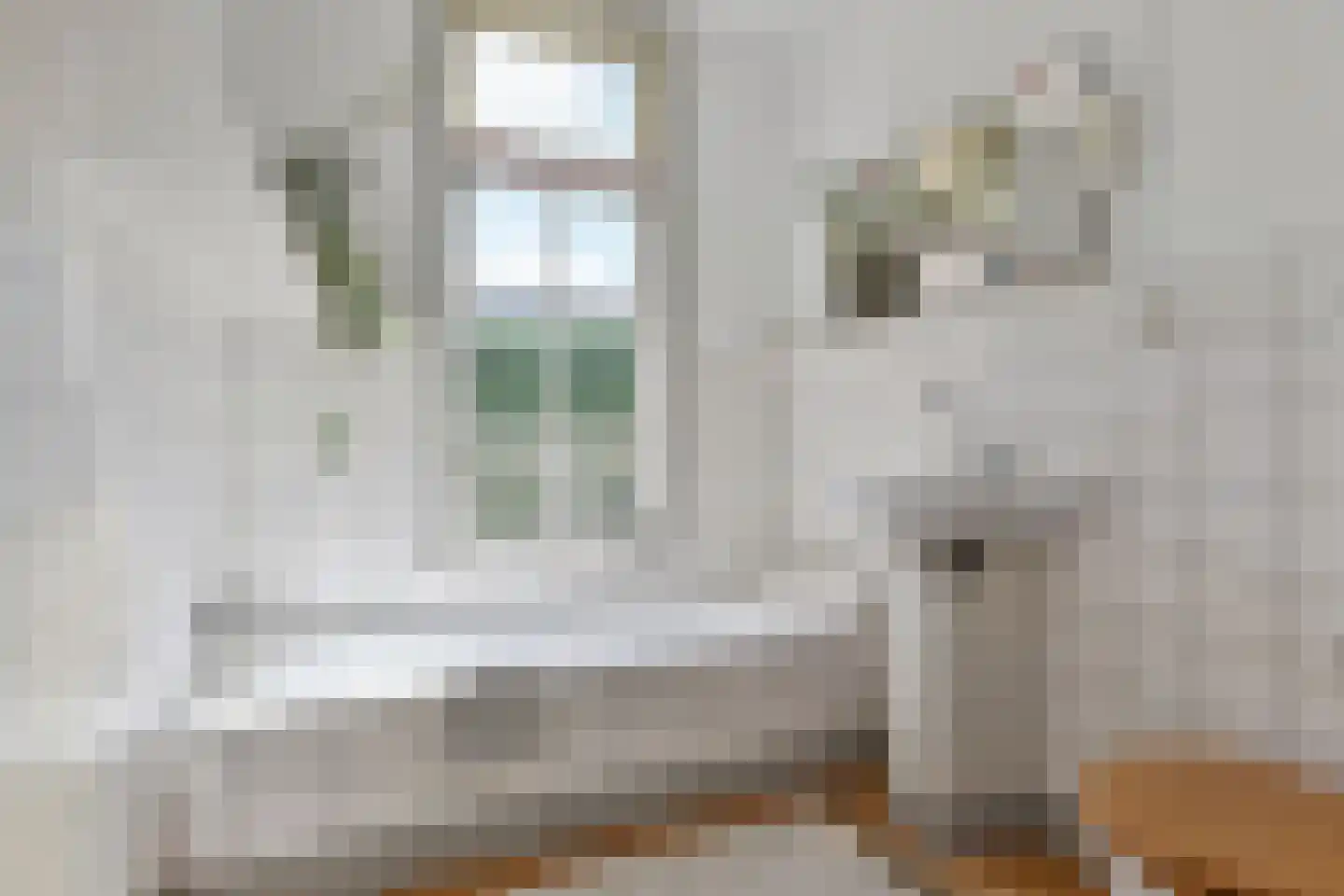 Thomsonlaan 44 Den Haag thumbnail 32