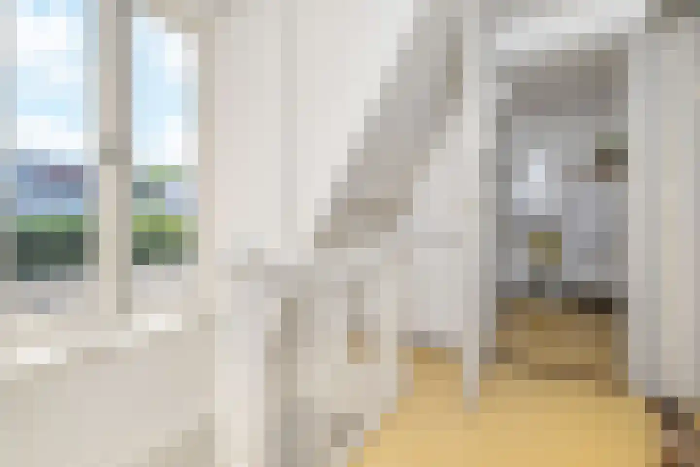 Thomsonlaan 44 Den Haag thumbnail 37