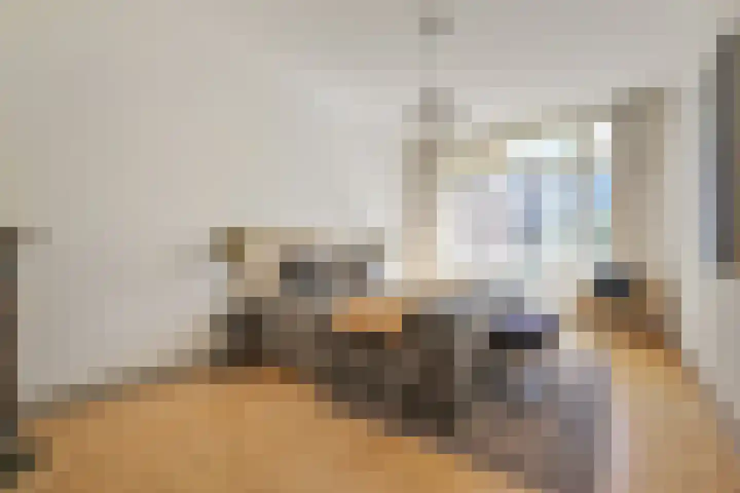 Thomsonlaan 44 Den Haag thumbnail 4