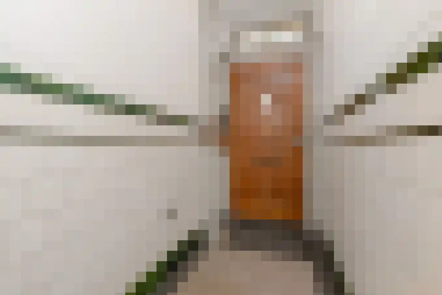Thomsonlaan 44 Den Haag thumbnail 43
