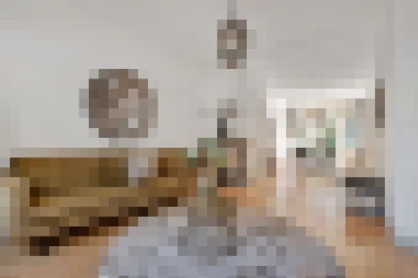 Thomsonlaan 44 Den Haag thumbnail 7