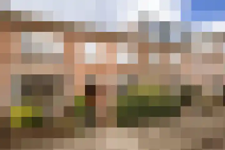 Thomsonlaan 45 Haarlem