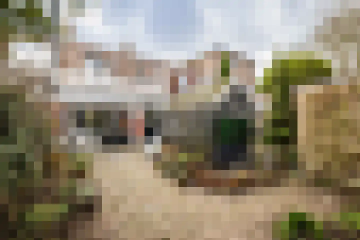 Thomsonlaan 45 Haarlem thumbnail 16