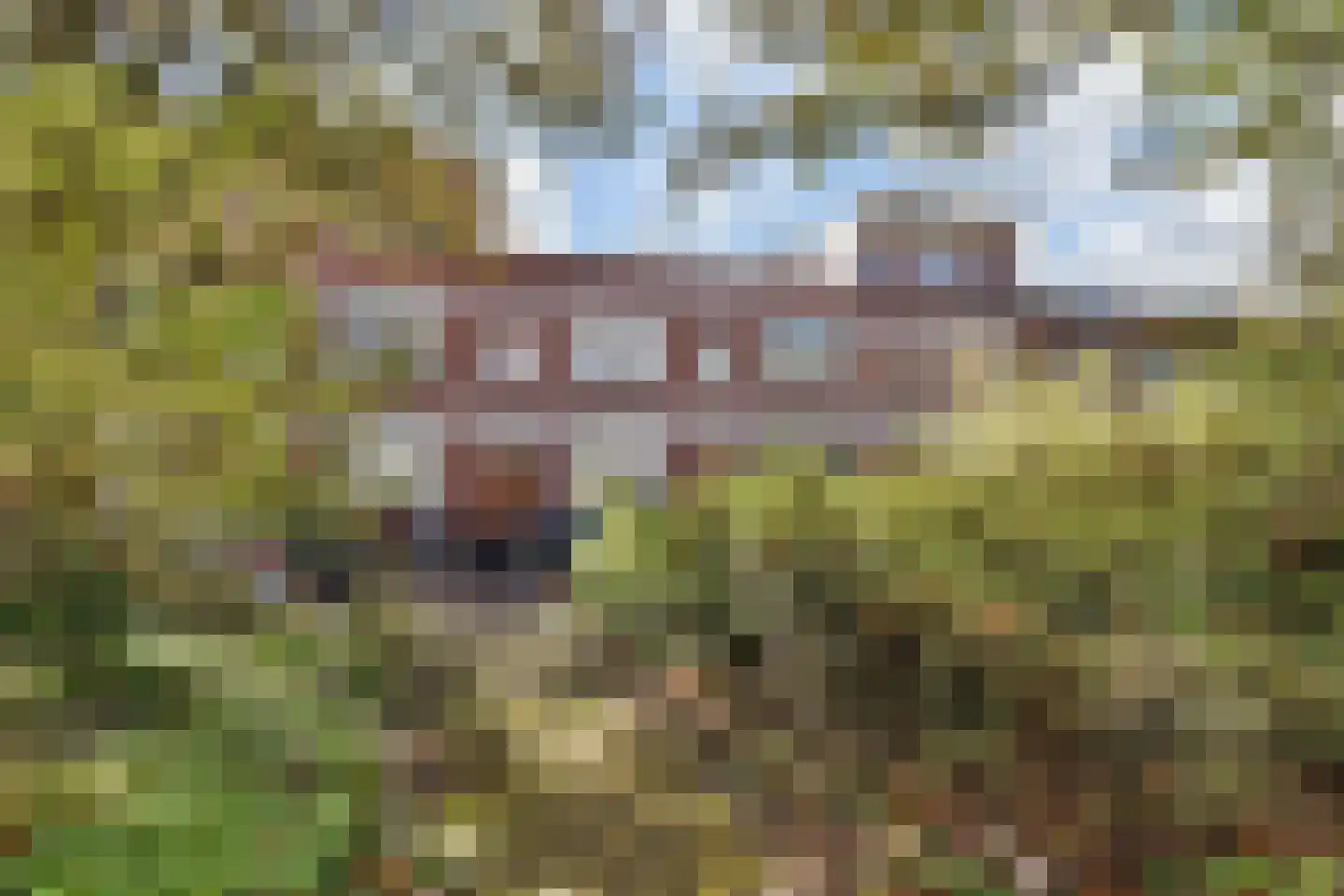 Thomsonlaan 56 Den Haag thumbnail 39