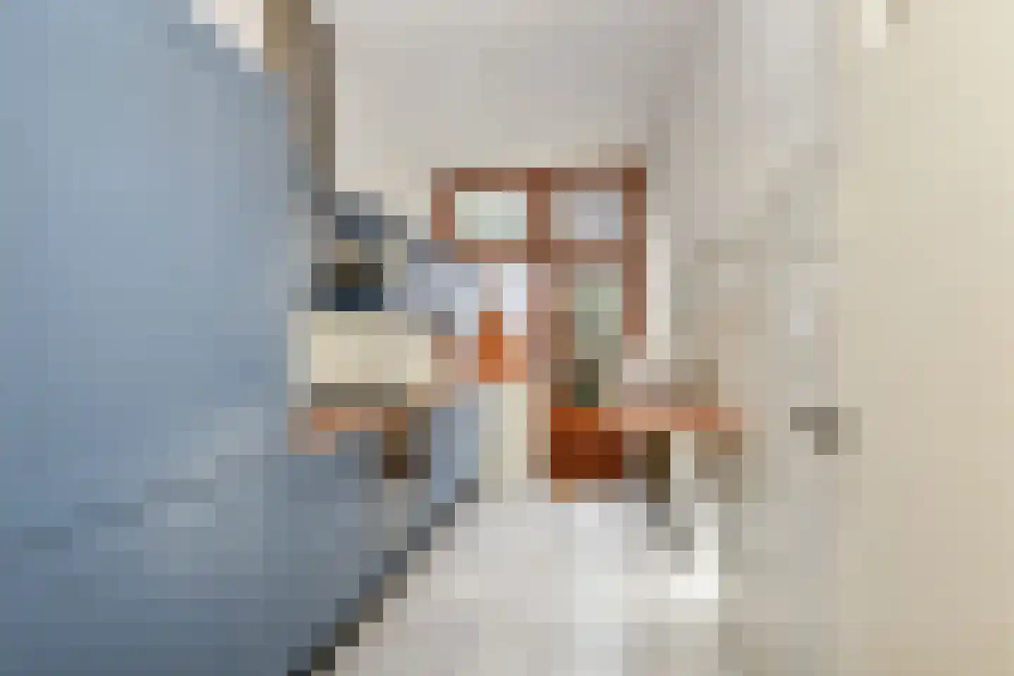 Thomsonlaan 56 Den Haag thumbnail 7