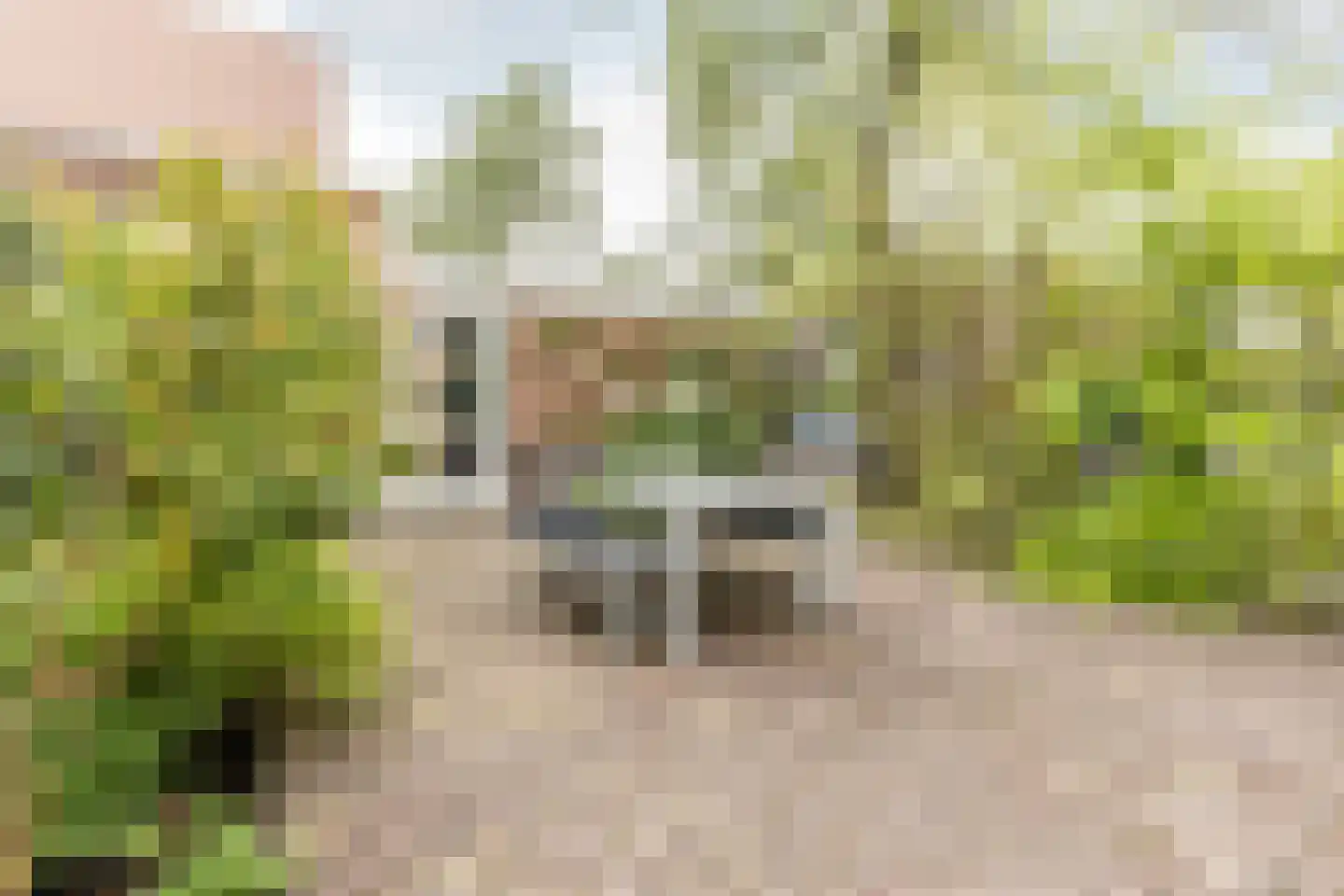 Thomsonlaan 63 Haarlem thumbnail 18