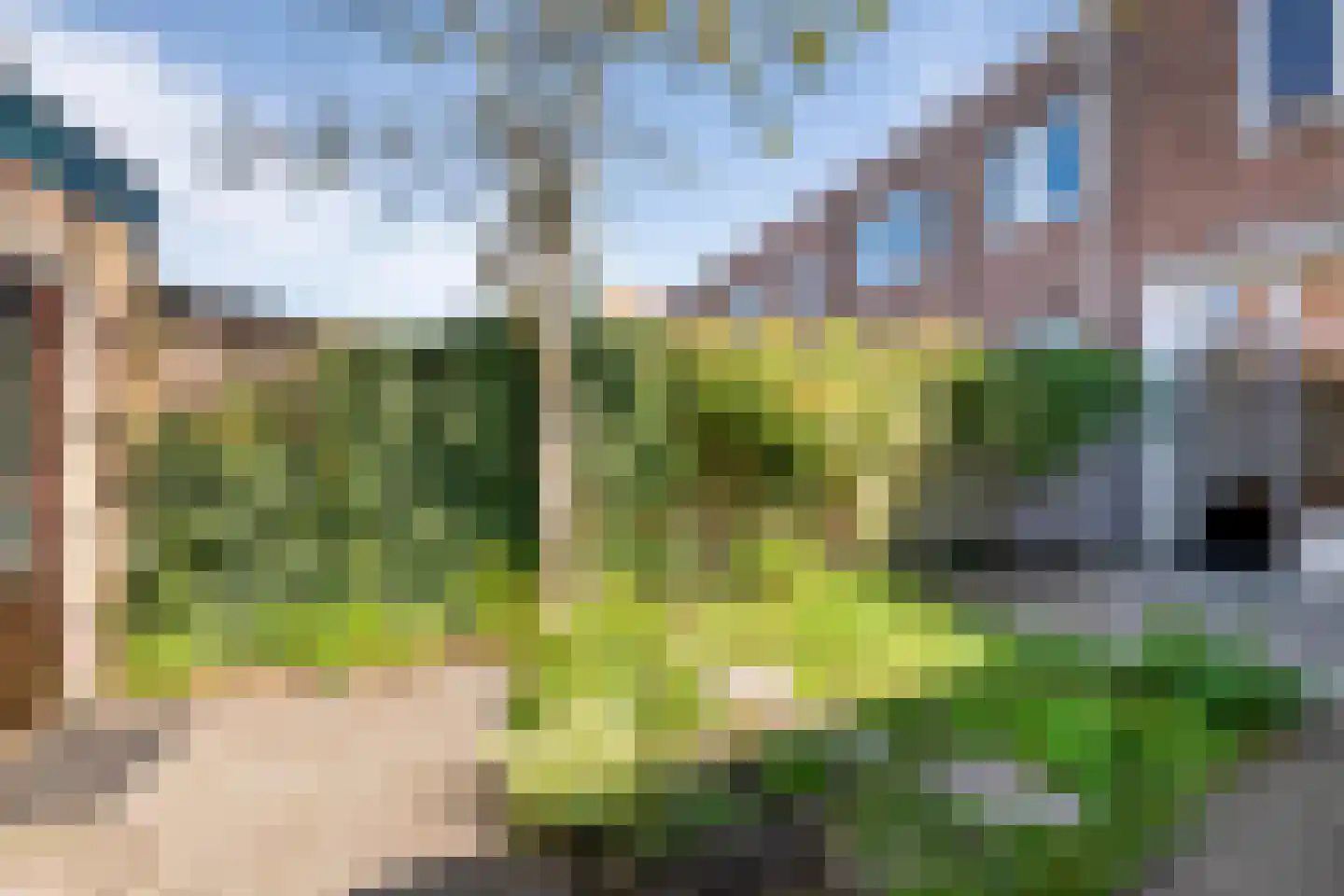Thomsonlaan 65 Haarlem thumbnail 25