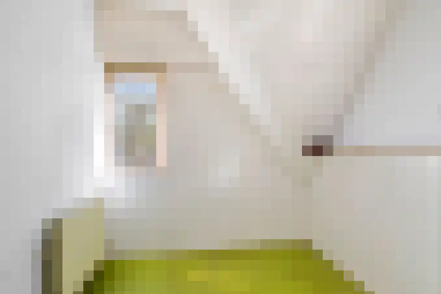 Thomsonlaan 65 Haarlem thumbnail 32