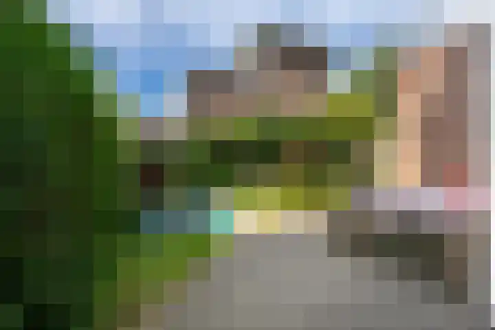 Thomsonlaan 85 Haarlem thumbnail 13