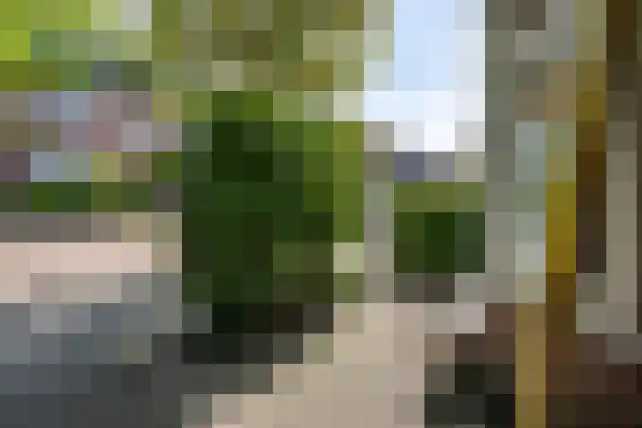 Thomsonlaan 85 Haarlem thumbnail 32