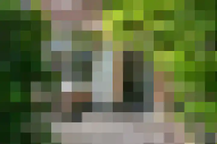 Thomsonlaan 85 Haarlem thumbnail 33
