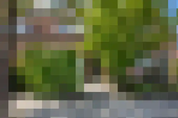 Thomsonlaan 85 Haarlem thumbnail 34