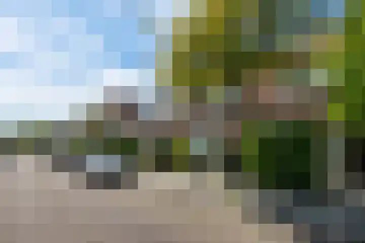 Thomsonlaan 85 Haarlem thumbnail 35