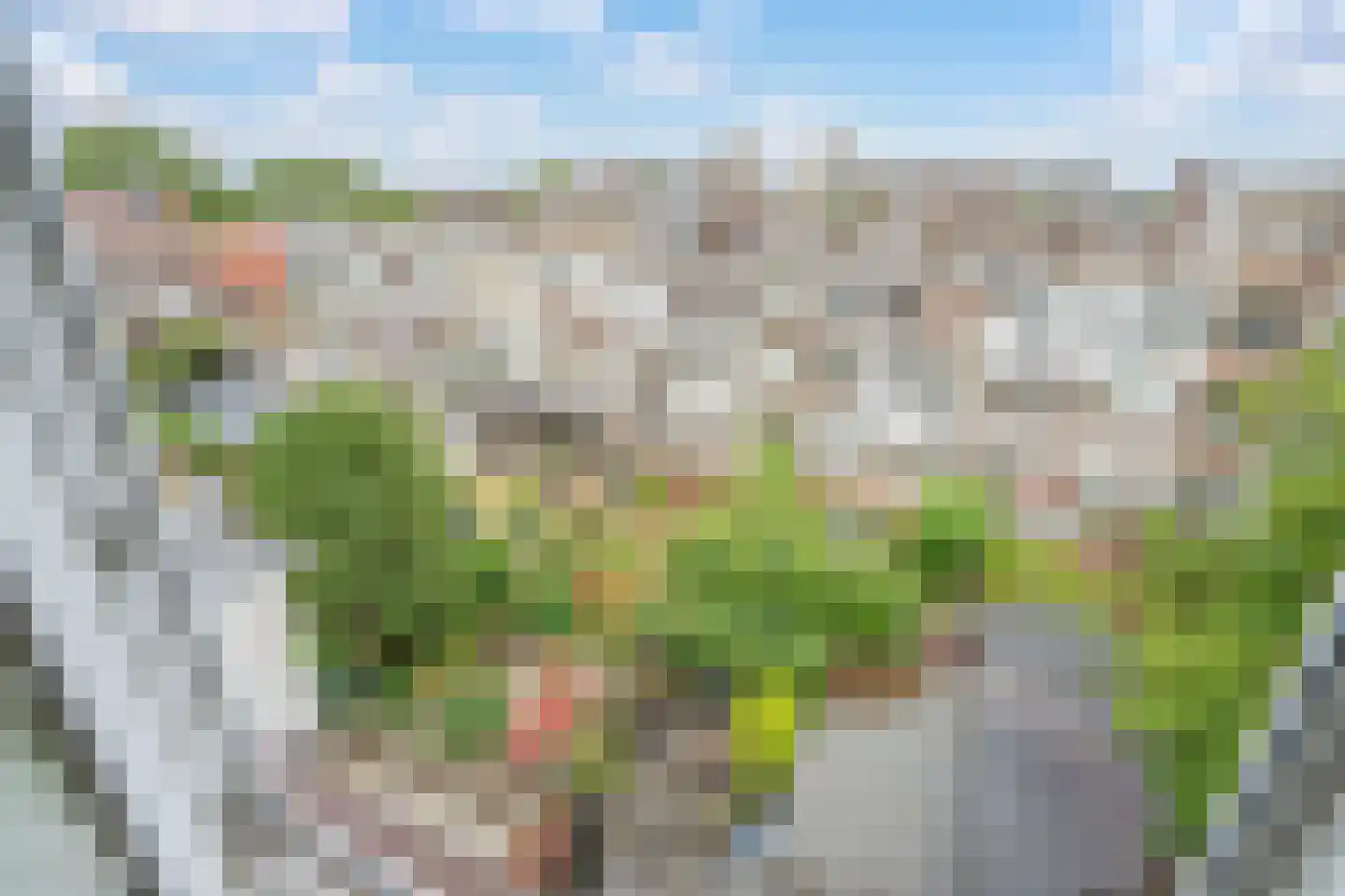 Thomsonlaan 95 E Den Haag thumbnail 14