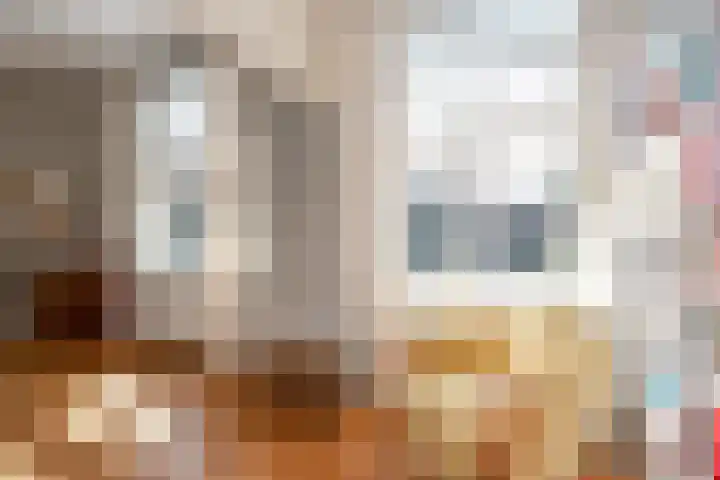 Thomsonplein 2 Den Haag thumbnail 11