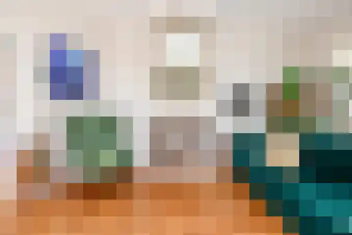 Thomsonplein 2 Den Haag thumbnail 16