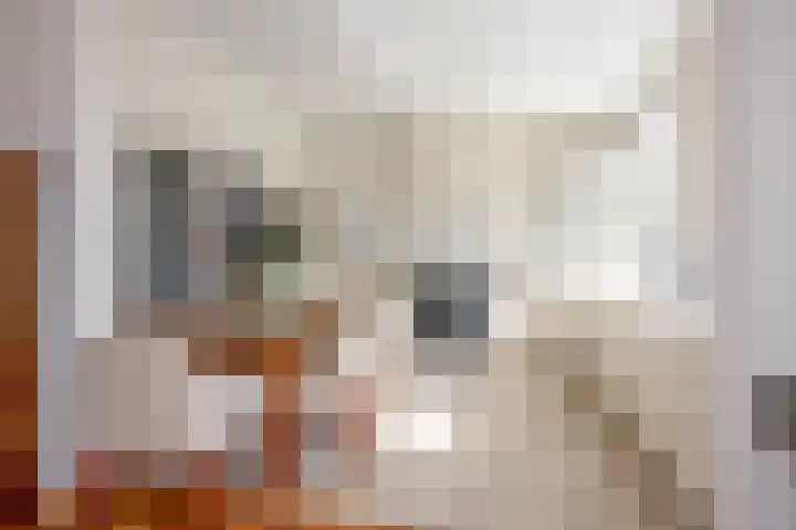 Thomsonplein 2 Den Haag thumbnail 20