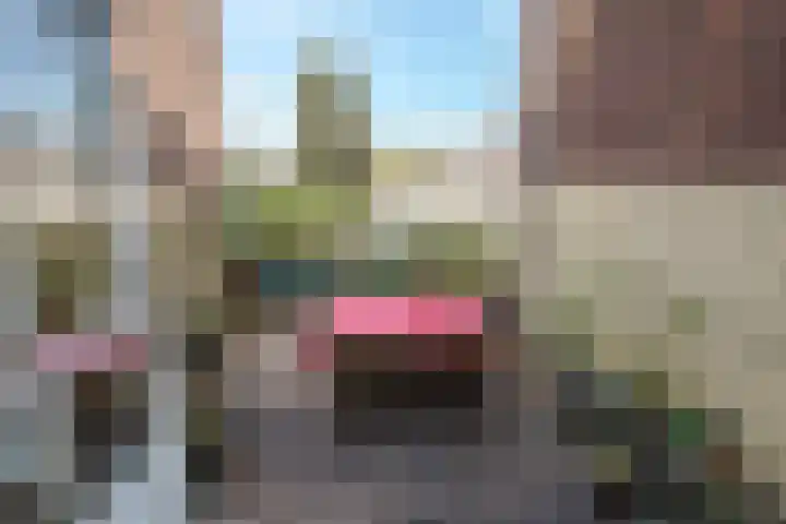 Thomsonplein 2 Den Haag thumbnail 32