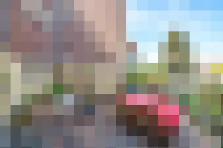 Thomsonplein 2 Den Haag thumbnail 33