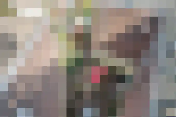 Thomsonplein 2 Den Haag thumbnail 69