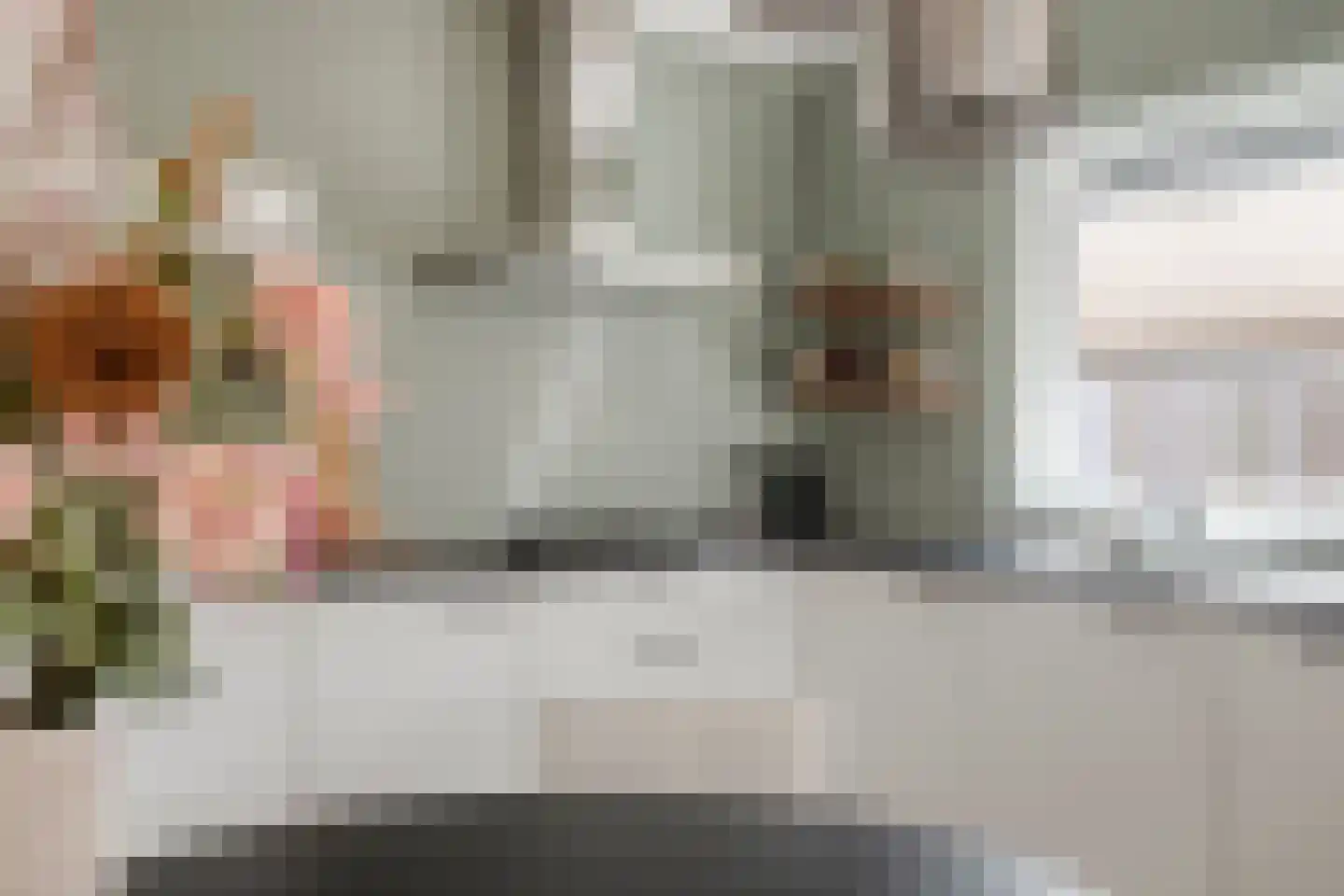 Thomsonstraat 106 Dronten thumbnail 15