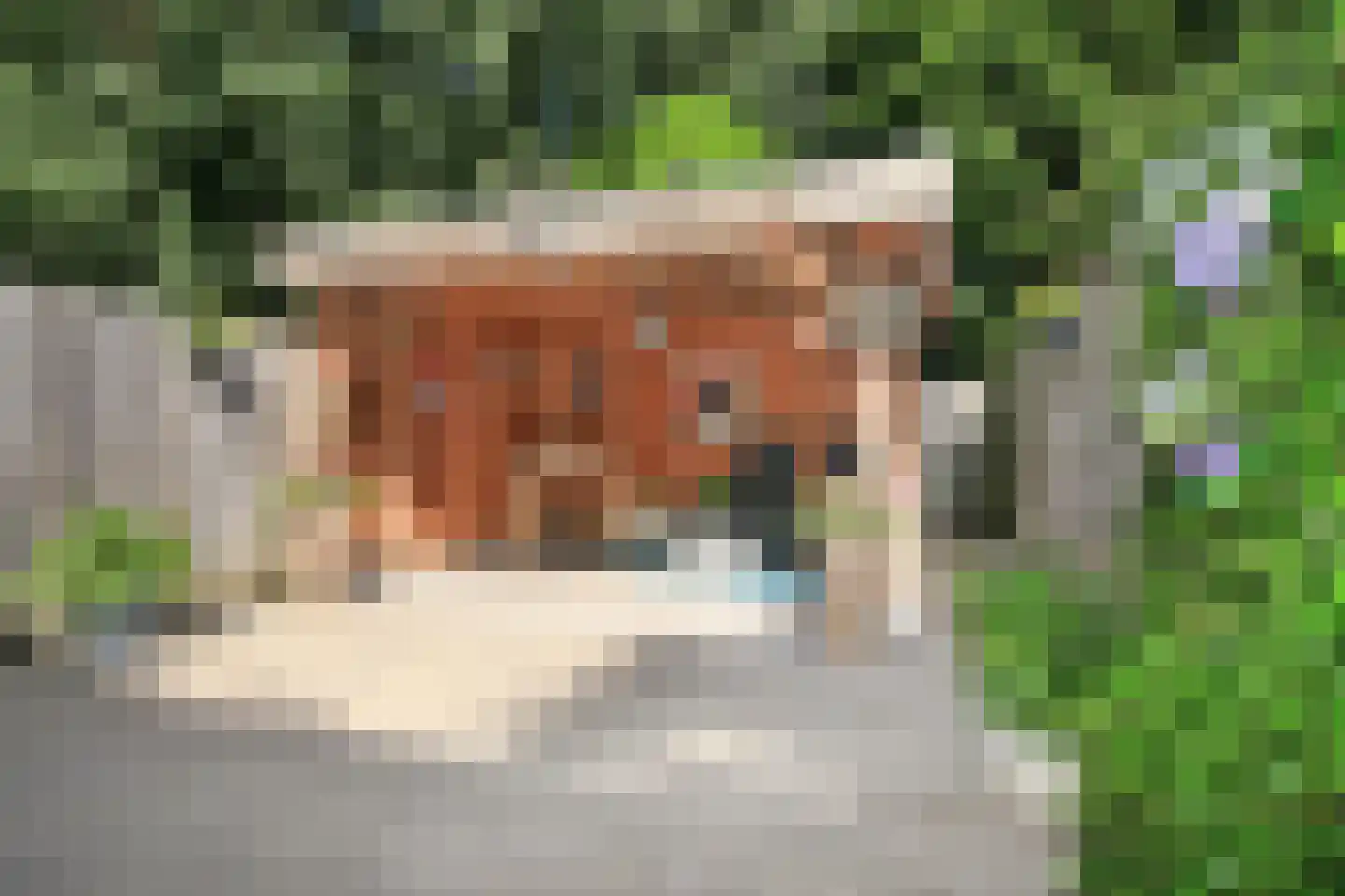 Thomsonstraat 142 Badhoevedorp thumbnail 23