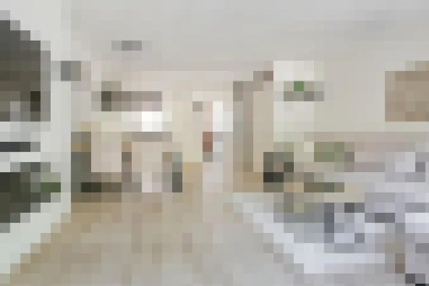Thomsonstraat 142 Badhoevedorp thumbnail 5