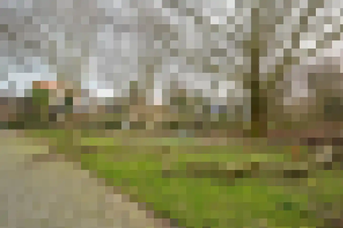 Thomsonstraat 146 Badhoevedorp thumbnail 17