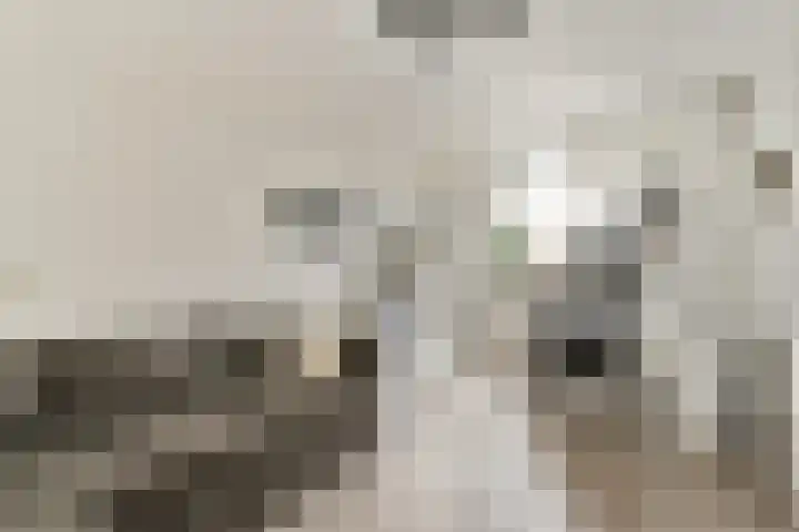 Thomsonstraat 147 Badhoevedorp thumbnail 18