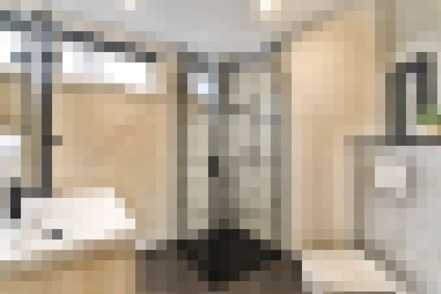 Thomsonstraat 147 Badhoevedorp thumbnail 20