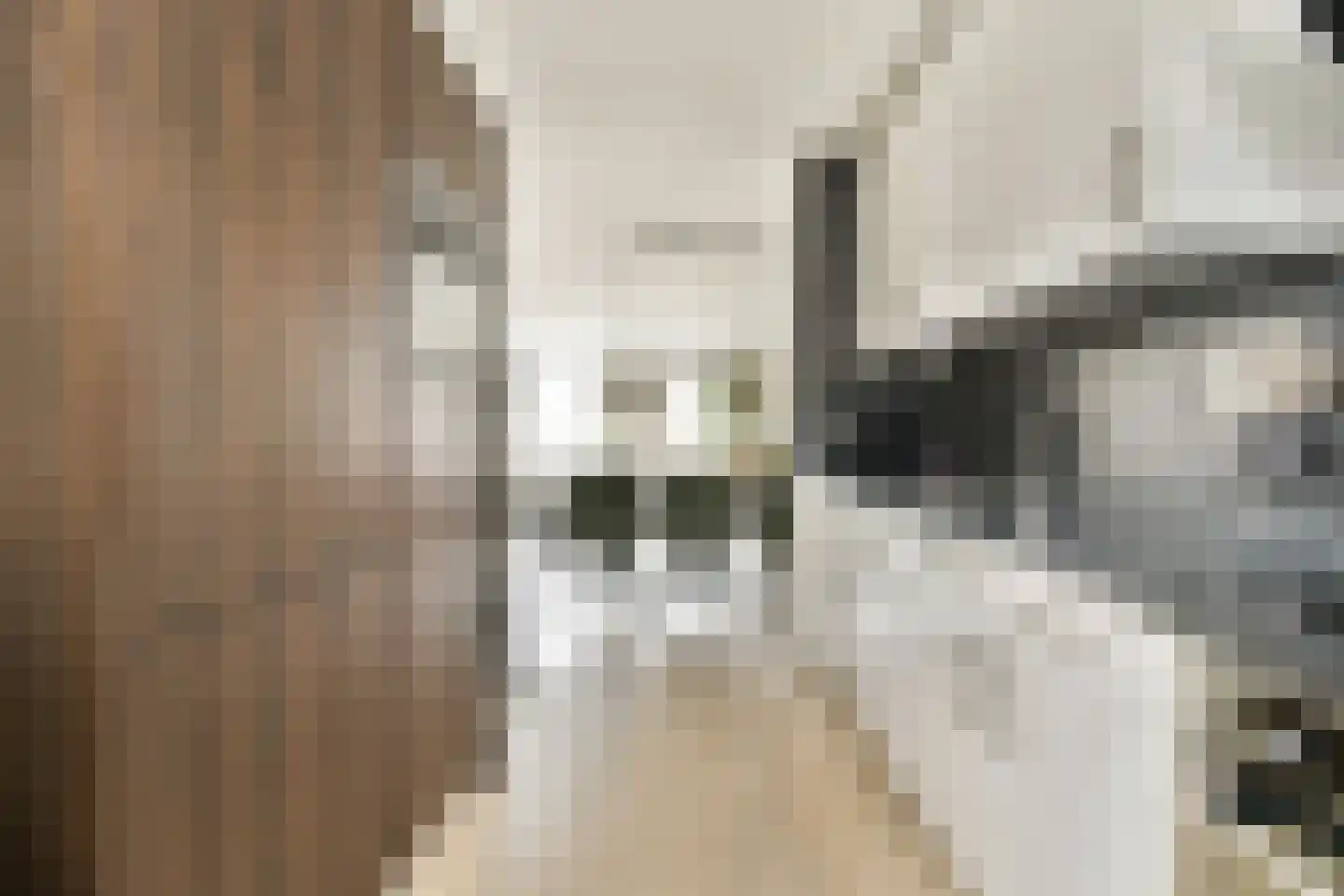 Thomsonstraat 147 Badhoevedorp thumbnail 8