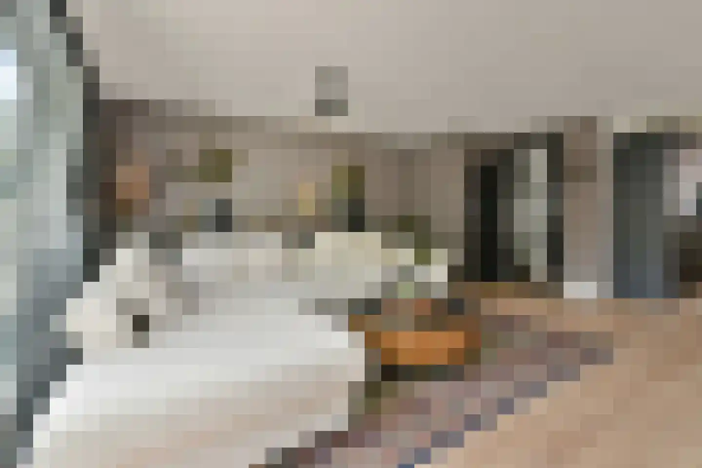 Thomsonstraat 148 Badhoevedorp thumbnail 4