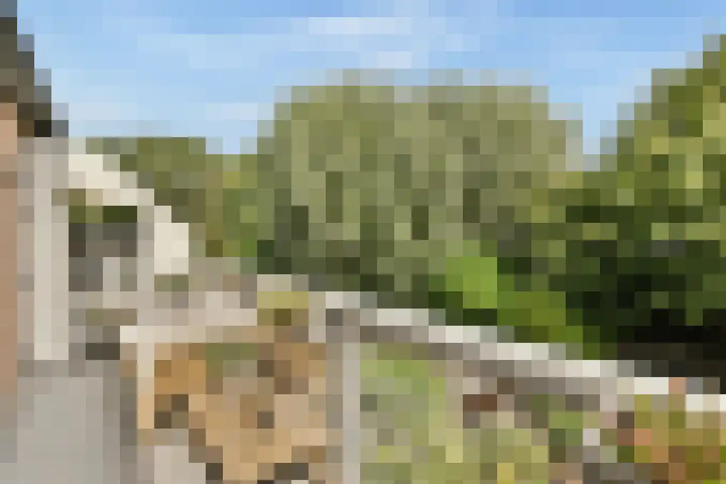Thomsonstraat 148 Badhoevedorp thumbnail 8