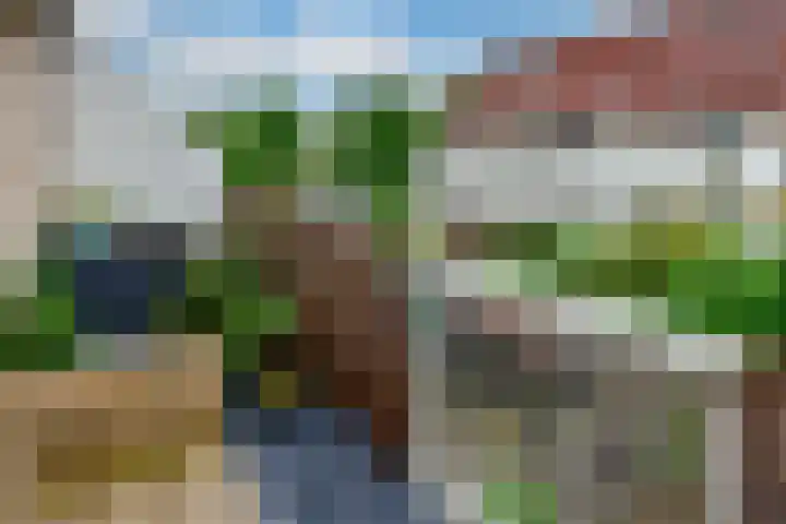 Thomsonstraat 17 Badhoevedorp thumbnail 18