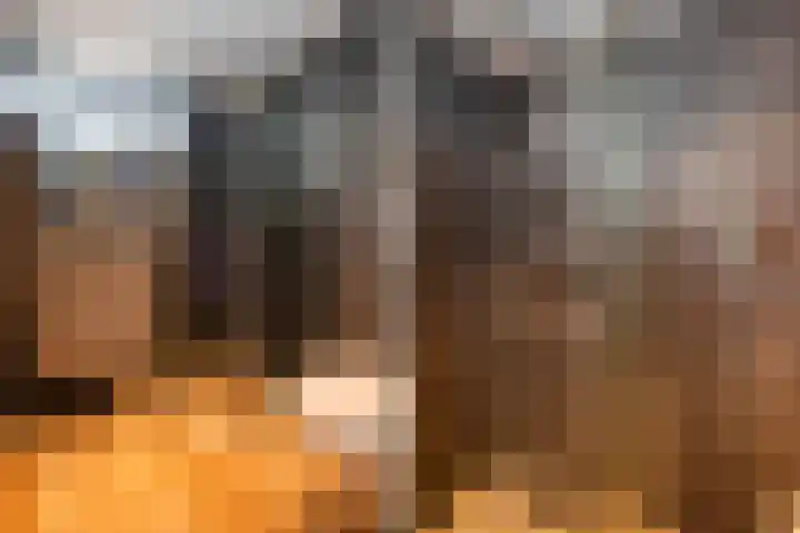 Thomsonstraat 188 Dronten thumbnail 15