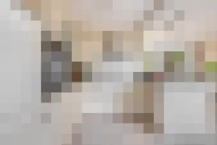 Thomsonstraat 190 Dronten thumbnail 17