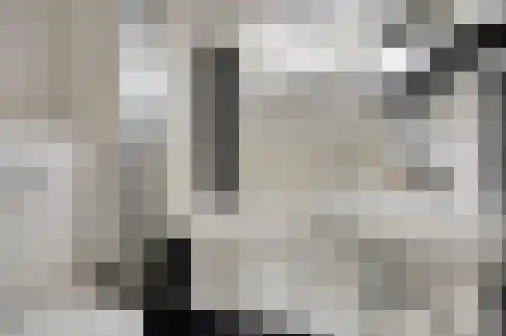 Thomsonstraat 190 Dronten foto 3