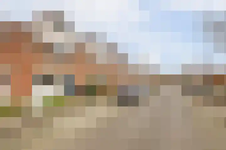 Thomsonstraat 190 Dronten thumbnail 35