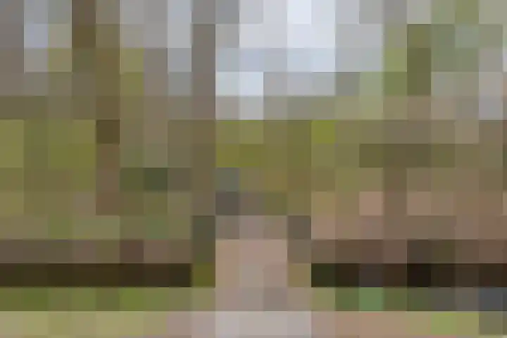 Thomsonstraat 190 Dronten thumbnail 38